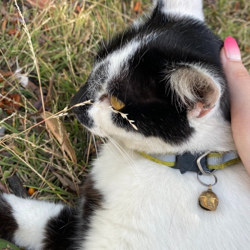 Meet your Posher, Tina
